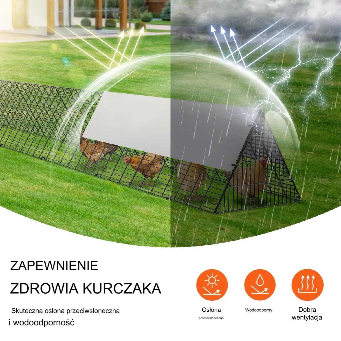 Klatka Tunel Wybieg dla Kurczaków Dwa Zestawy z Ramą Prostą - obrazek 4