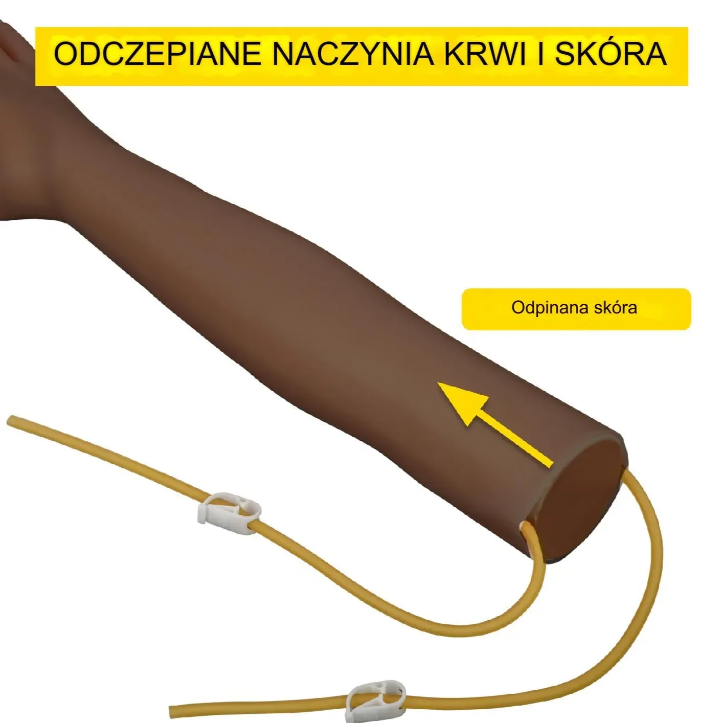 Fantom pielęgniarski ręka do wkłuć zestaw nauki iniekcji - obrazek 3