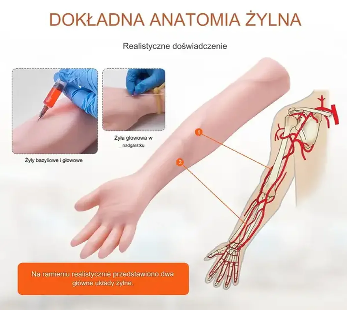 Model ręki ramienia do nakłuwania żył Zestaw do nauki iniekcji - obrazek 3