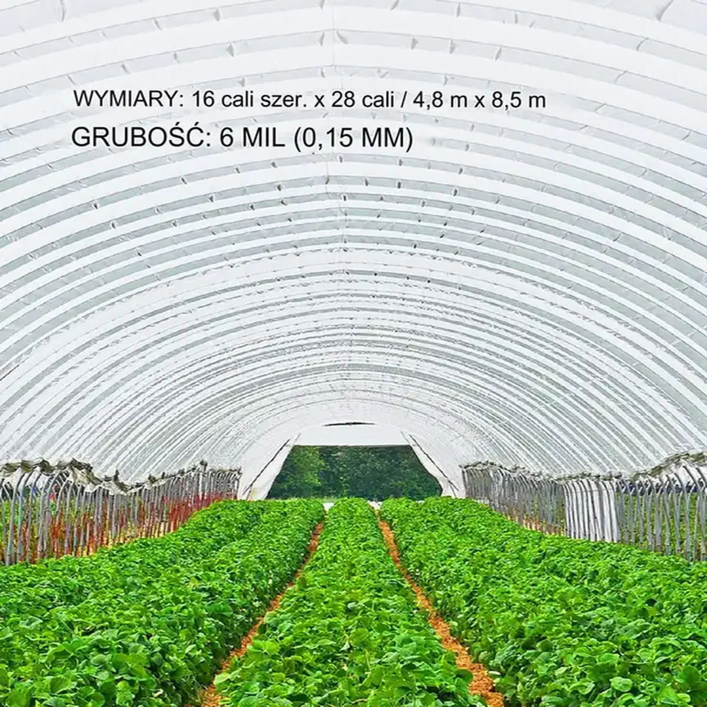 Folia do szklarni szklarniowa Folia Pokrycie do tunelu 4,8 x 8,5 m - obrazek 5