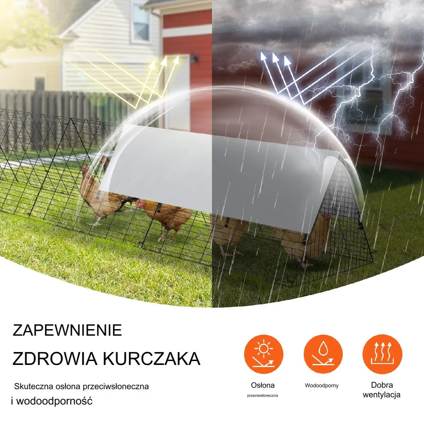 Klatka Tunel Wybieg dla Kurczaków - obrazek 4