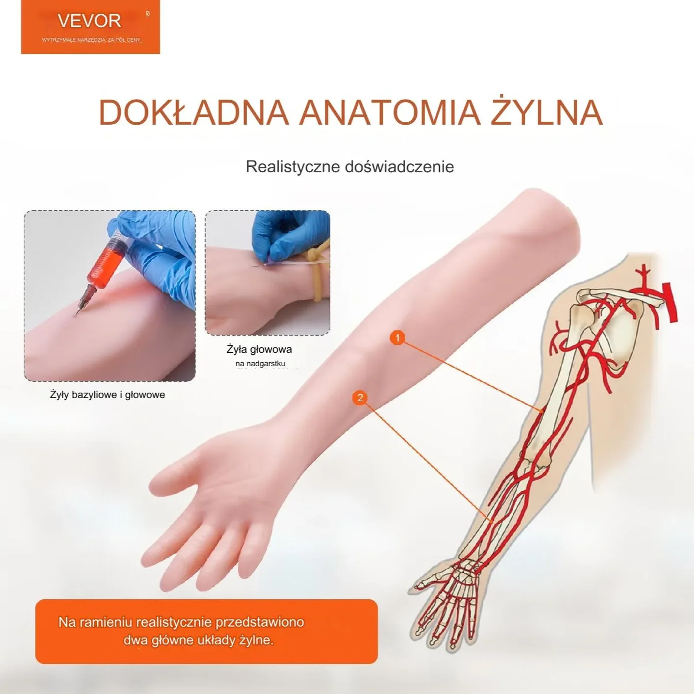 Model ręki ramienia do nakłuwania żył Zestaw do nauki iniekcji - obrazek 3