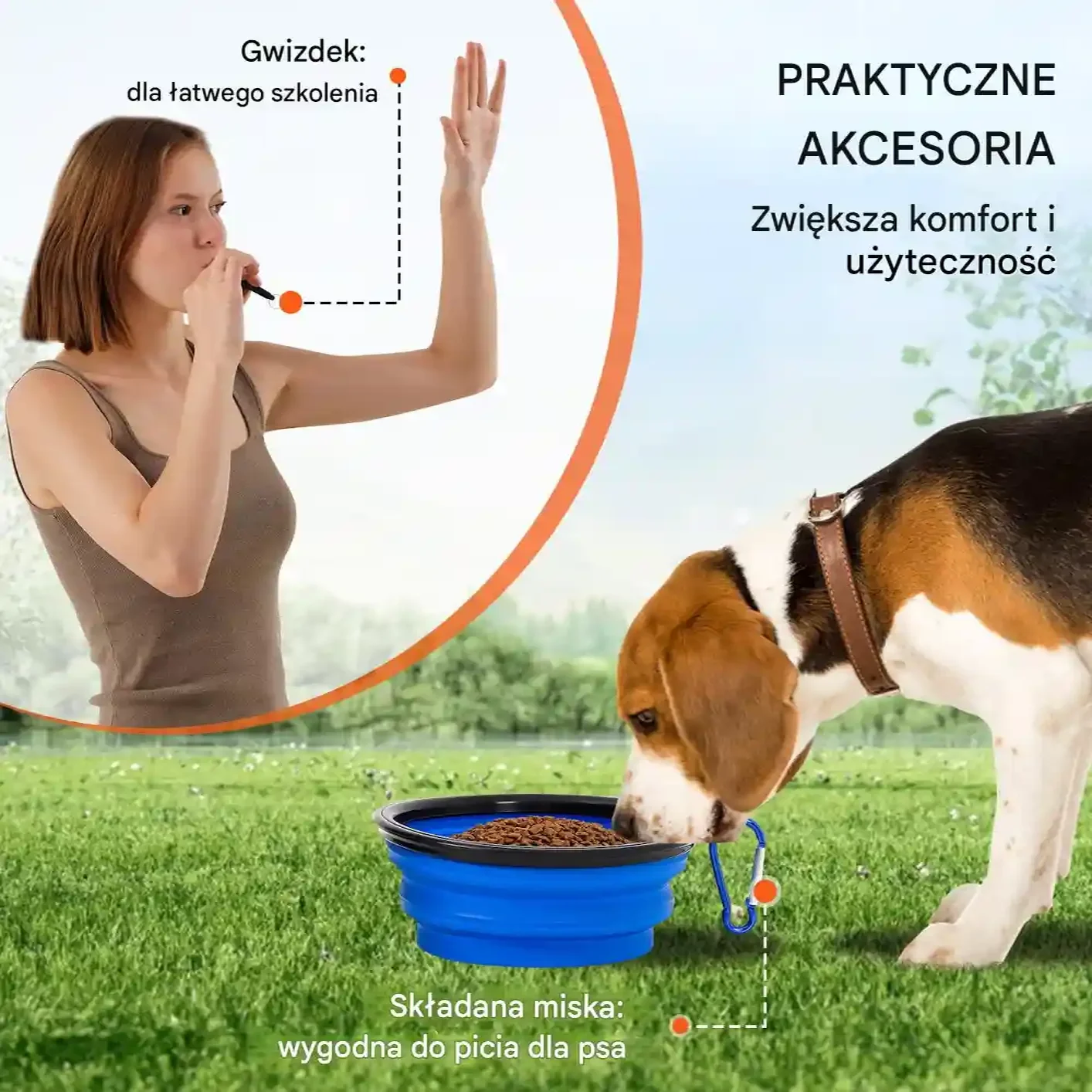 Zestaw do treningu agility dla psów Akcesoria do Treningu dla Psa 4 szt. - obrazek 5