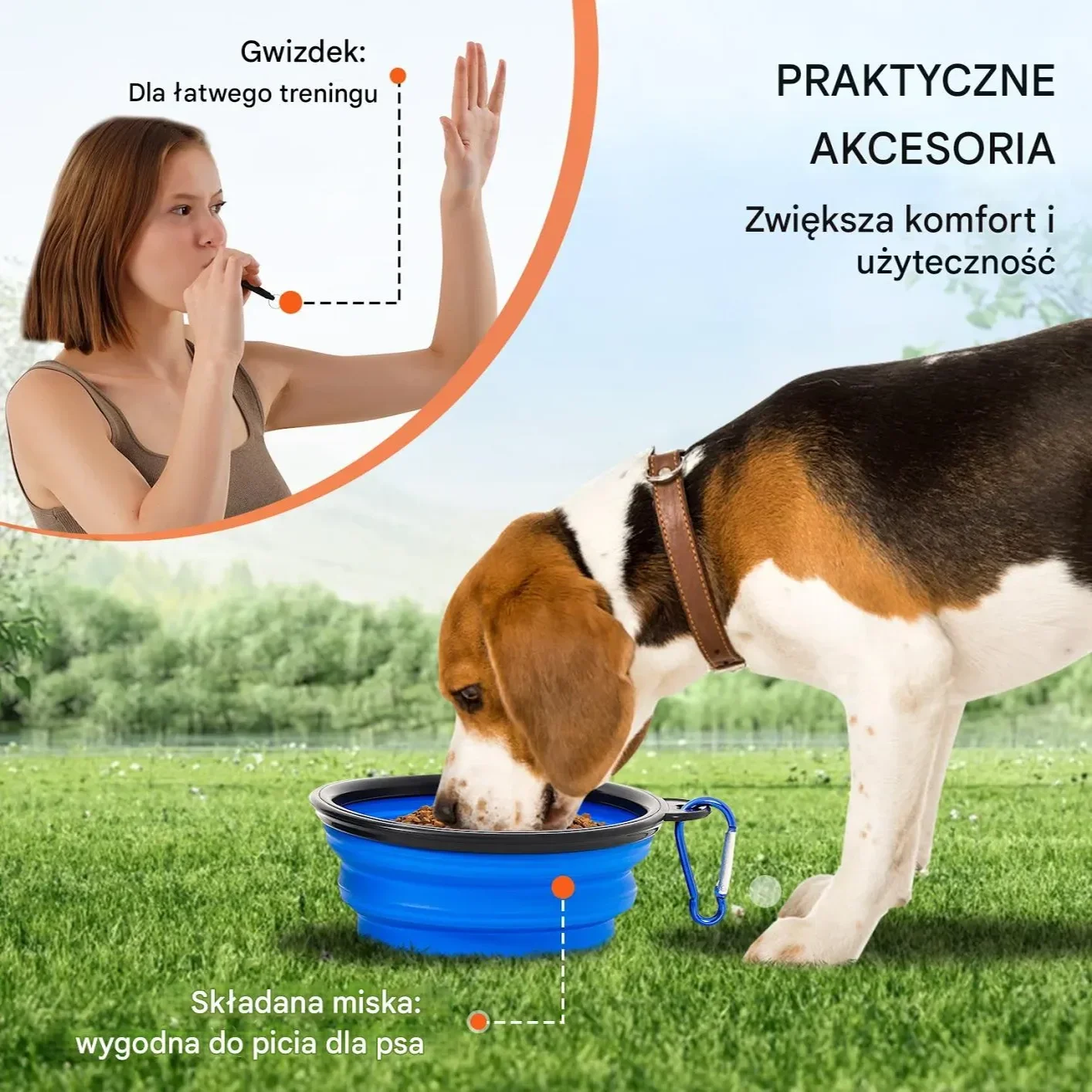 Sprzęt do treningu zwinności dla psa 5 elementów niebieski - płotki tunele - obrazek 5